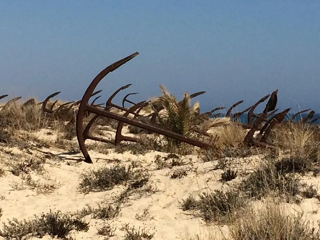 Pedras Del Rei, Nature And Beach Apartment タヴィラ