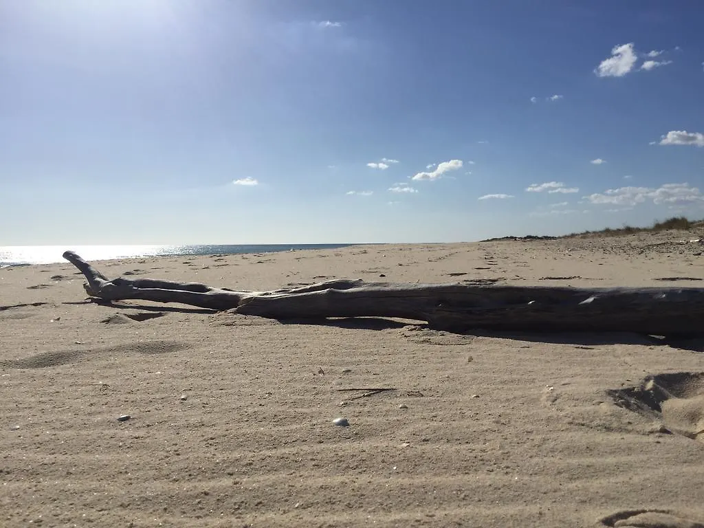 Pedras Del Rei, Nature And Beach Apartment タヴィラ