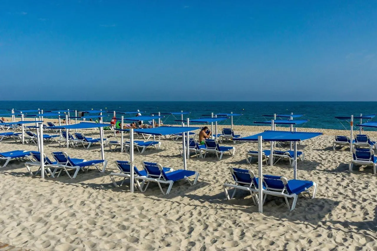 Pedras Del Rei, Nature And Beach Apartment タヴィラ